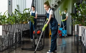 Eco-Friendly Cleaning
