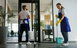 Tailored Cleaning Services