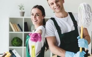 Professional Home Cleaners